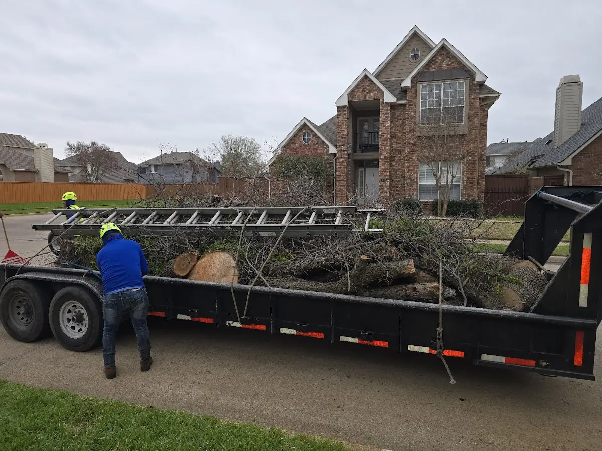 Expert Tree Pest Control with proper safety equipment in Point Roberts